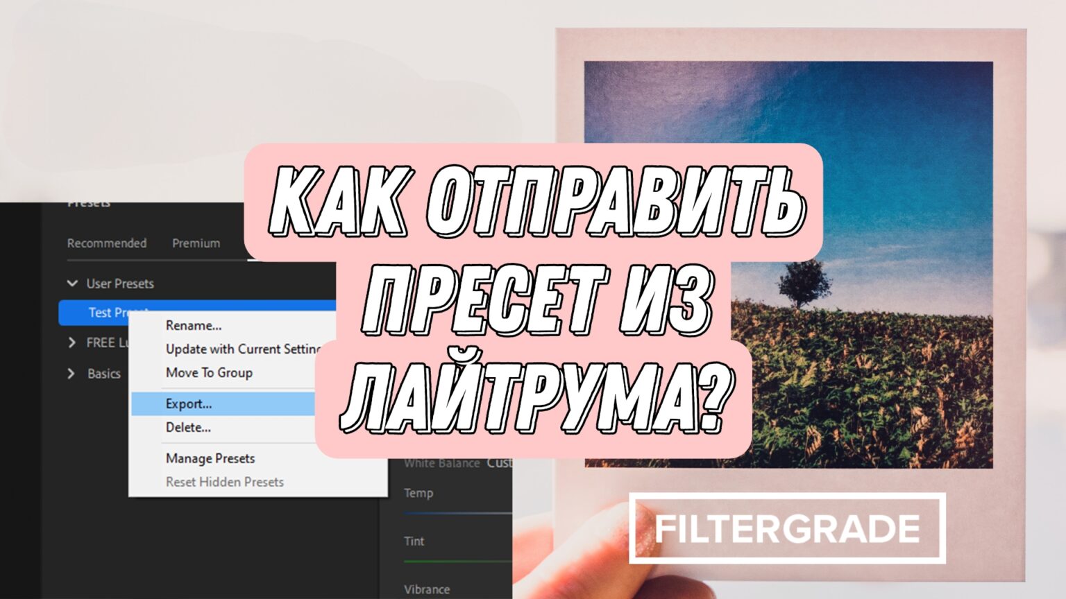 Пресеты для lightroom телеграмм бесплатные фото 36